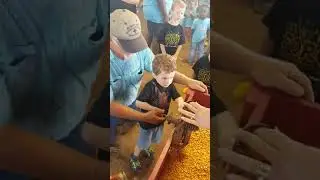 Ev at the county fair