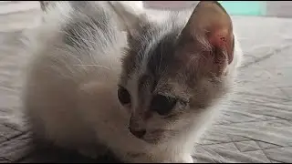 lagi santuy cuaca ujan gini