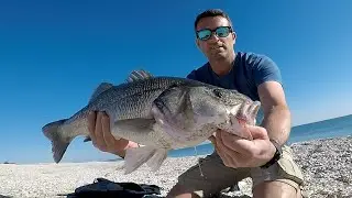 Spigola a Spinning dalla spiaggia - Seabass Spinning near shore attack!