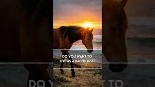 Stop Running Like a Racehorse! (The Secret to Winning in Life) - Gyaanaguru
