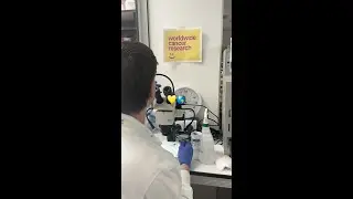 What does cancer research look like?