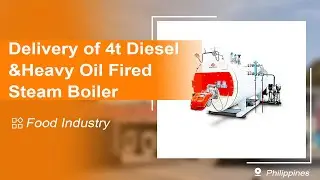 4 ton of Diesel & Heavy Oil Fired Steam Boiler Used for an Edible Oil Factory in the Philippines