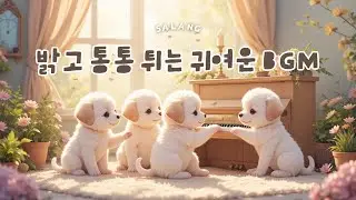 밝고 통통 튀는 피아노 🎹 | 기분 좋아지는 BGM 🐶