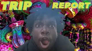 FIRST TIME ON SHROOMS (Trip Report)
