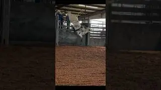 TOURINHO PULANDO MUITO NO ROB&Ocirc; COWBOY 🧬🇺🇲