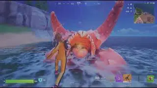 Fortnite_Doble corona 2