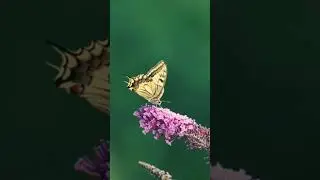 Простая истина! 