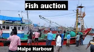 Fish auction #malpe Harbour /fishing /sealife /seafood 