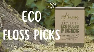 Eco-Friendly FLOSS PICKS For Sustainable Dental Care: A GAME-CHANGER
