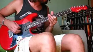 Fernandes ST 40