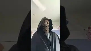 whe you have the mask but no cloak but your parents are also weirdos #lunatheartistyt #cosplay #art