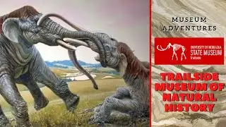 Museum Adventures: Trailside Museum of Natural History