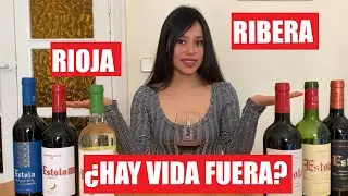 Вина Кастилии-Ла-Манча. Bodegas Ayuso. Estola Reserva 2016 дегустация