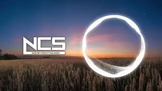 Birds  [NCS Realese]