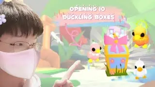 Adopt me~Opening 10 duckling boxes 🐣