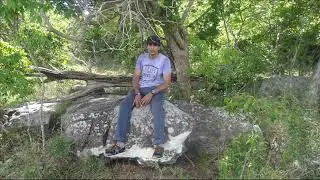 Danigala