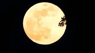 Supermoon - April 7, 2020