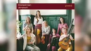 Divinerinnen - Hausball bei Březina