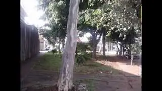 Prova do Fogo