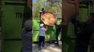 Hoarding muck out strategies 💪🏽