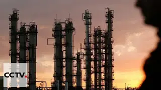 No Shift In Oil Policy: Saudi Arabia signals no change in production
