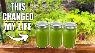 The Power of CELERY JUICE | Unexpected Benefits and My Personal Story