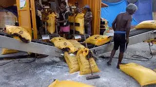 fertilizer(urea) bulk bagging operation in colombo port