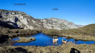 2025 12 14 La Sía   Collados del Asón LA PEDRAZA IMUNIA LA RASA NORTE TRASMAQUERA LUSA