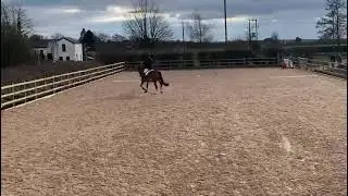 Longton Riding Club - Ben Geldard - Kerannen Eowyn - BRC D11
