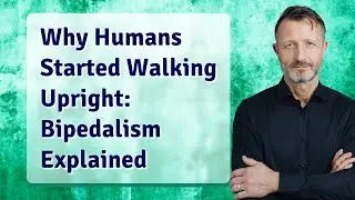 Why Humans Started Walking Upright: Bipedalism Explained