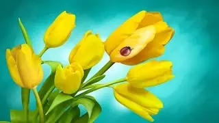Beautiful Spring Music - April