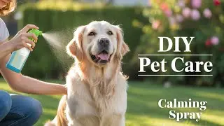 DIY Calming Spray for Your Furry Babies