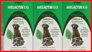 Quality product -  Nutramax Welactin Omega-3 Fish Oil Skin and Coat Health Supplement Liquid for Dog
