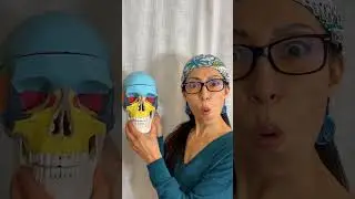 Снимите стресс и напряжение с мышц лица &mdash; с эффектом &laquo;ВАУ!&raquo;