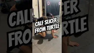 Calf slicer from the turtle position 🐢 #bjj #jiujitsu #bjjtechnique #nogi #bjjsubmissions