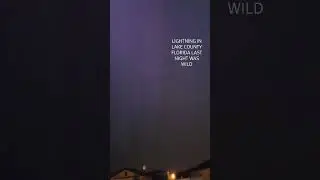 Florida Lightning August 1/ Florida Storm