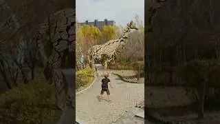 #nature #ytshorts #animals