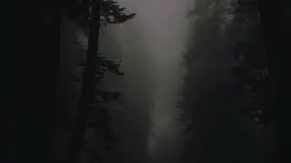 Novulent - Savior
