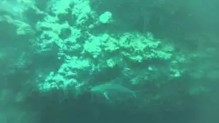 GOPR0200