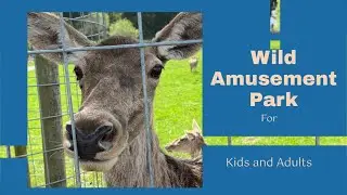 Wild Amusement Park | Wildfreizeitpark Oberreith | Amazing for Kids | Whole Day Amusement for Kids |