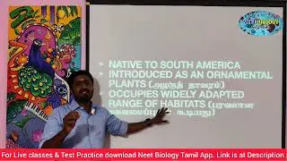LANTANA CAMARA | TAMIL | ALIEN INVASIVE SPECIES | ENVIRONMENTAL ISSUES | TRB | STD 12 | TNPSC
