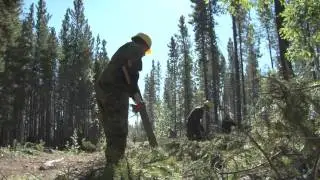 Operation NANOOK 2013 montage video