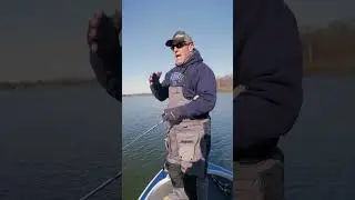 Why Jerkbait Success Hinges on the Pause! (Suspending Rattlin' Rogue)