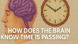How does the brain know that time is passing