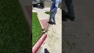 Sharp Lawn Lines and Crisp Borders with Smooth Edge Finish ✂️ | #lawncare #trimming