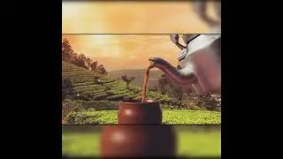 BILLIMORA TEA