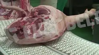 Meat Conveyor Belts