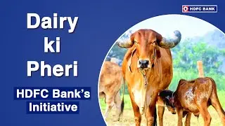 HDFC Bank, Commercial & Rural Banking Group - Dairy Ki Pheri Initiative