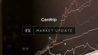 Centtrip - FX Market Update - 05.02.24