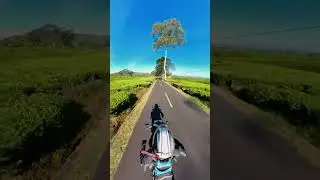 #pov #lc135 #lcv1 #t135 #bikestagram #bikelife #insta360  #bikersofinstagram #motorcycleclub